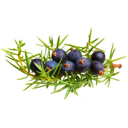 AlpenSpritz - L'originale spritz alpino - bacche ginepro